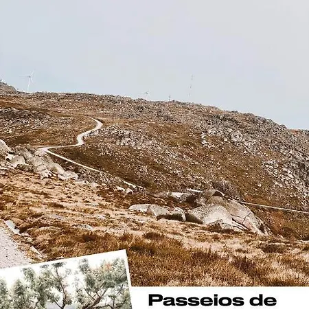 Casa Da Cris *